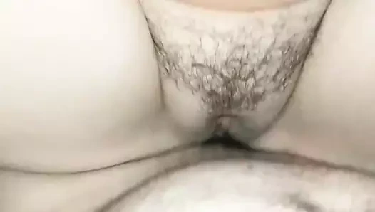 Şişman bir kedi vurma