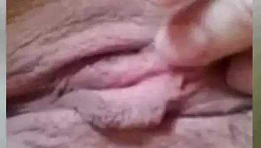 Hile ev eş itibaren brazil parmak kedi