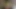 Yas tutmak baştan çıkarıcı bir cezbediciye dönüşüyor