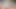 773340190579105792.mp4
