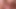 Amateur couple in an oral and vaginal