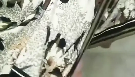 Külotumu seçmeme yardım et papy