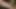 Seksi zenci sürtük yaşlı beyaz yarağı okşuyor ve taşaklarını yalıyor