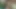 Yaramaz Fransız hatunlarla fışkırtmalı grup seks