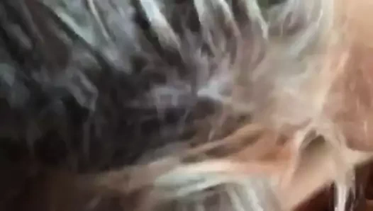 Milf bbw jennie böyle bir çapa