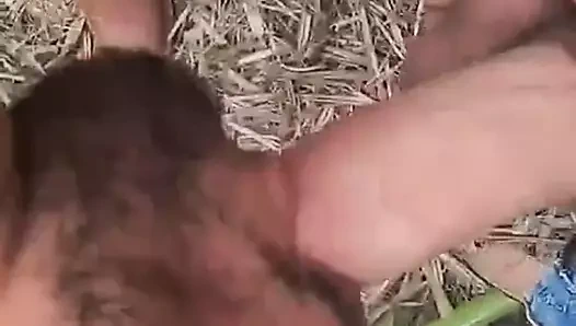 hetero köylü alır horoz emdi