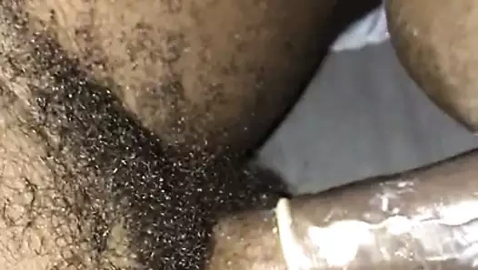 vurma siyah piliç köpek