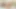 Güzel memeler ve göt travesti Carolina Martins dildo kullanarak götünü sikiyor