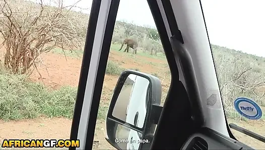 Zenci kız arkadaşım, safari sırasında masum davranıyor... Sonunda boşalmam için yalvardı