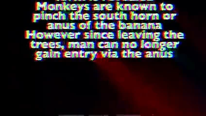 muz içinde benim kedi