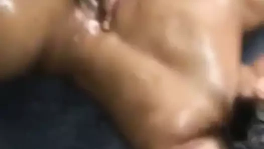 Şeftali yalpalayıcı pt.iv