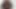 Pakistanlı Hint bengalcesi tiktok