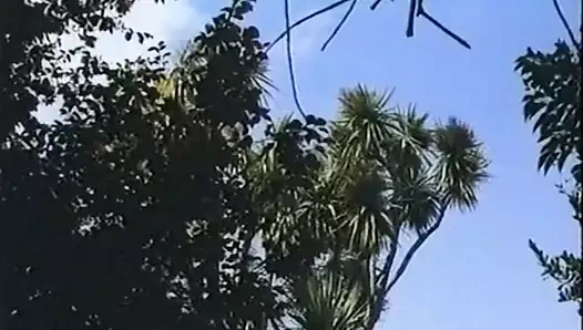 altın kapı kızlar (1985)