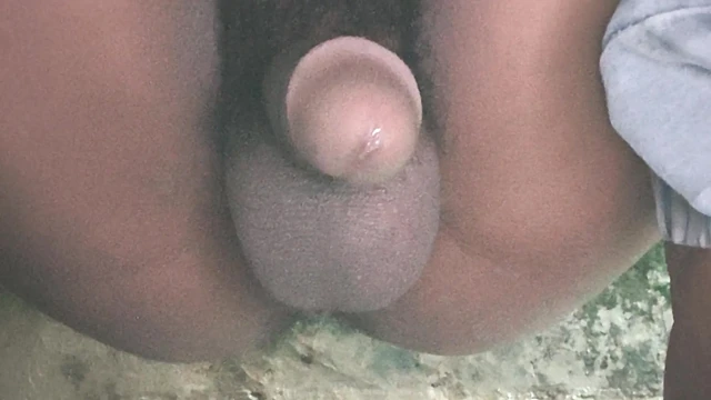Seksi Bir Evde Seksi