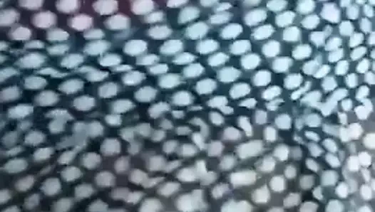 dehin zebo bl creme o aayez yefchakha f tiizha