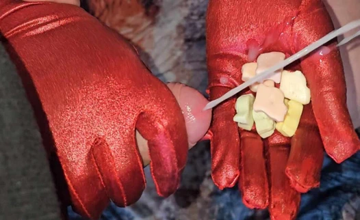 Bol miktarda döl sakızlı şekerleri kaplar. Zevk alıyor ve zevkle yiyor. Bu çok korkunç iyi bir kombinasyon