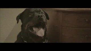 Elena anaya içinde seks ve lucia