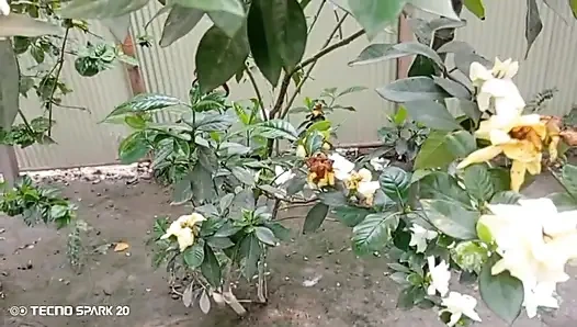 Secret Affair with My Sister-in-Law in the Backyard