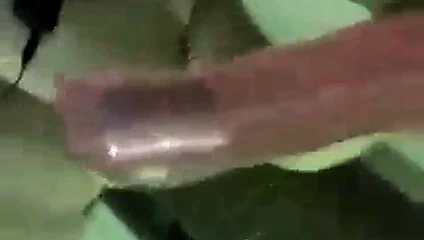 Bbw fahişe jessica 2