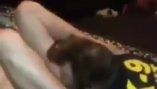 Eşzamanlı orgazm, bbc ve cuckold, popo kasılmaları