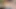 Sasha Pearl Göbek Dansı Striptiz Yapıyor