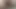 Bbw kedi oyun