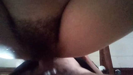 Yavaş çalı kıllı kedi