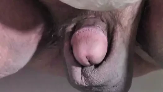 Gordito pito bonito 1