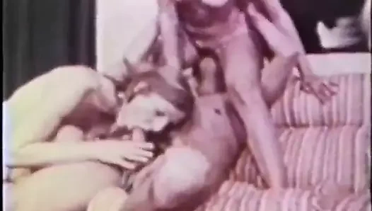 Erotik gezi (sessiz)