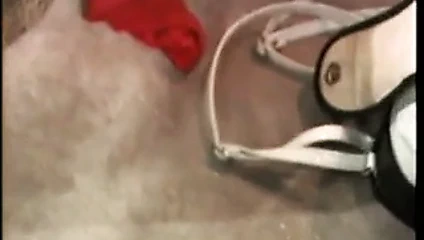 Heather lee - klasik busty babe anal