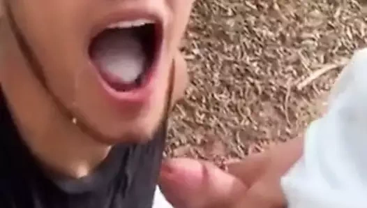 Çalılarda sperm şansı