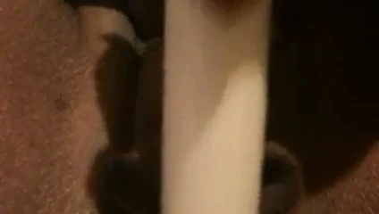 2013 fışkırtma itibaren bir arkadaş