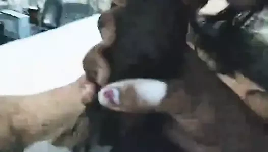 Hadi bir selfie çek