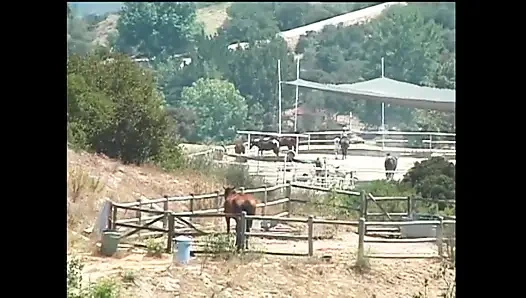 Günün lanet olacağına hazır