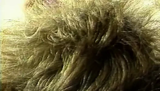 Zevk alacağınız klasik lezbiyen seansı