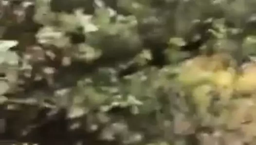 başka bir orman oral seks