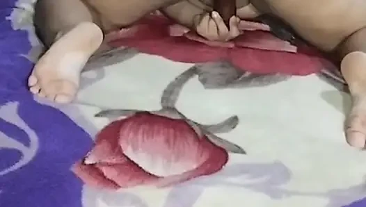Seksi tavşan
