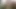 Yenge, seni seviyorum! hint bengalce güzel yenge