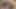 Wife Begs Her Stepsister to Take Huge Virile Breeding Creampie from Husband because She Can't Get Pregnant