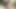 Siyah4k. şişman adam bbc genç esmer cinsel getiriyor