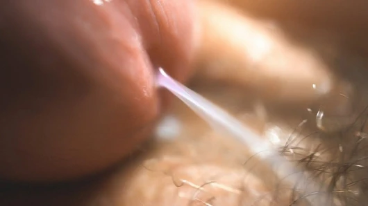 Kıllı bir kedinin en detaylı sikişi