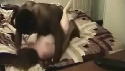 bazes ev hanımı 566