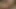 Domuz kuyruklu porno yıldızı sasha gri mastürbasyon