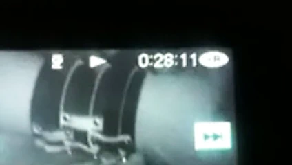 bbc tarafından eğitilmiş kız