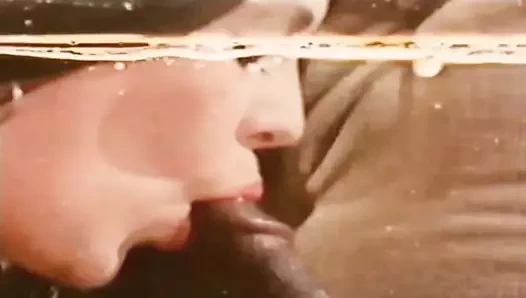 sadece bağbozumu 427