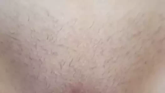 Beni kedi ve eşek arkasından lanet