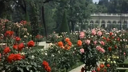 Anna'nın imajı ve cezası
