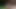 Cute boy masturbating cum
