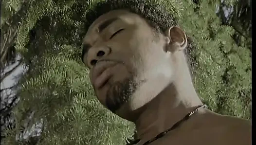 Ormanda Siyahların Seviştiği Güzel Sarışın