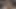 İtaatkar twink bağlı yukarı tarafından usta alır yarım yamalak oral seks